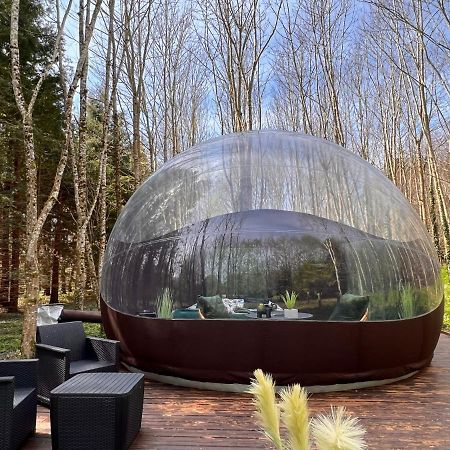 Logement Insolite "Bubble Jungle" Saint-Evarzec Экстерьер фото