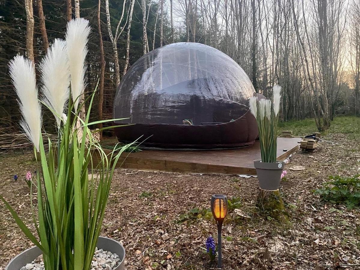 Logement Insolite "Bubble Jungle" Saint-Evarzec Экстерьер фото