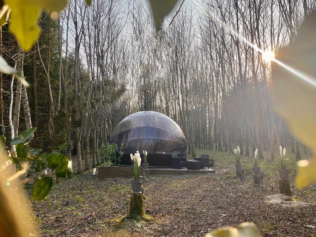 Logement Insolite "Bubble Jungle" Saint-Evarzec Экстерьер фото